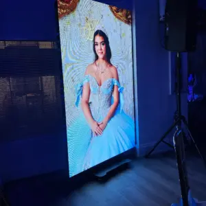 LED SCREENS