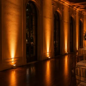 LED WIRELESS UPLIGHTS