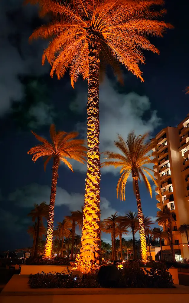 Wireless LED uplighting for corporate parties in Broward County and South Florida